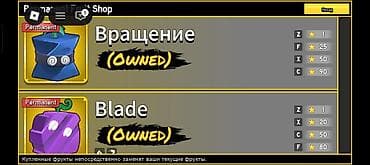 мечит: Продам Аккаунт Roblox: Blox Fruits писать тг auvens ник — продвинутый — 7
