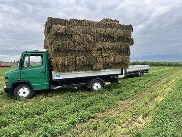 Транспорт: Грузовик, Mercedes-Benz, Стандарт, 5 т, Б/у — 6