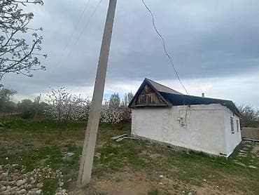боконбаева советский: Ысыккол Чон-Сары-Ой айылынан уй сатылат. 2 болмолуу, уй эски бирок — 5