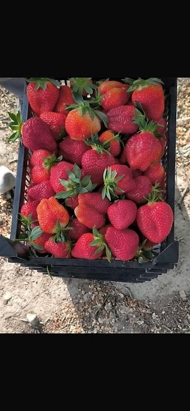 бумажные пакетики: Пластиковый Ящик — 7