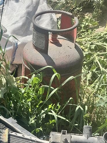 газовый шкаф: Баллон газовый пропановый, металлический. - Тип: баллон для — 1