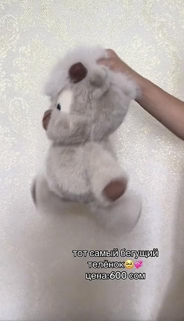 сэндвич тойбосс цена: Тот самый хит
БЕГУЩИЙ ТЕЛЁНОК🥹💞
Цена:600 сом — 2