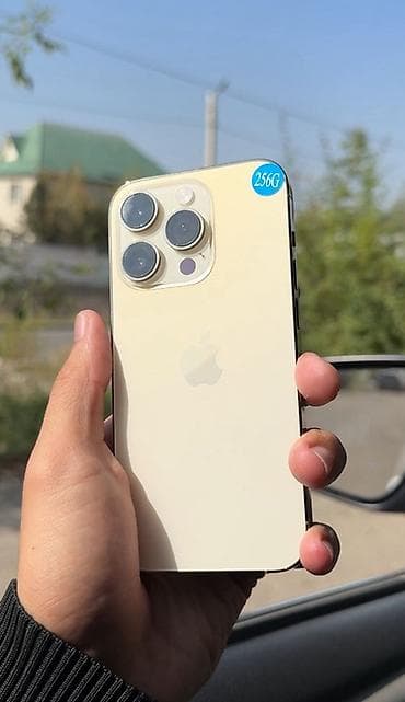 ipone 14: IPhone 14 Pro, 256 ГБ, Золотой — 2
