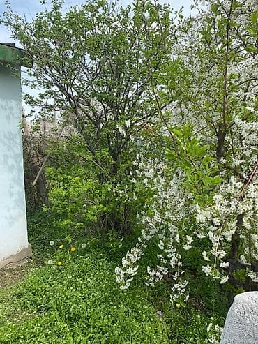 дача пригородный: Продаётся одноэтажный кирпичный дом с приусадебным участком и садом — 4