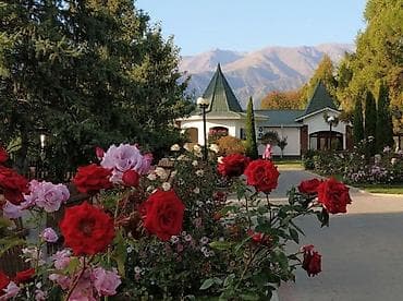 аренда азия молл: 2 комнаты, 37 м², Элитка, 5 этаж, Евроремонт — 6