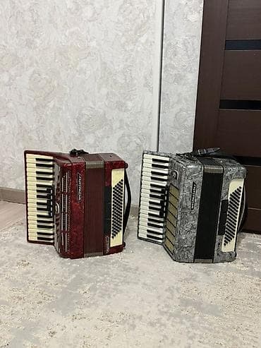 Барабаны: Аккордеоны Weltmeister (Германия) - Тип: клавишные аккордеоны с — 1