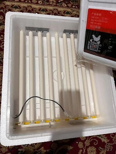 Жыгач иштетүү: СРОЧНО!! Новый Инкубатор — 4