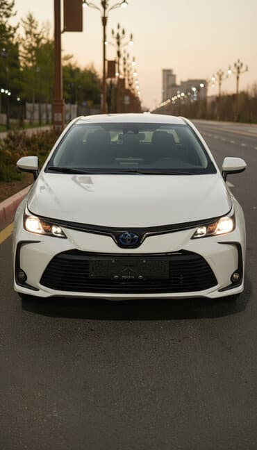 насадка на глушитель с подсветкой: Toyota Corolla: 2021 г., 1.8 л, Вариатор, Бензиновая, Седан — 2