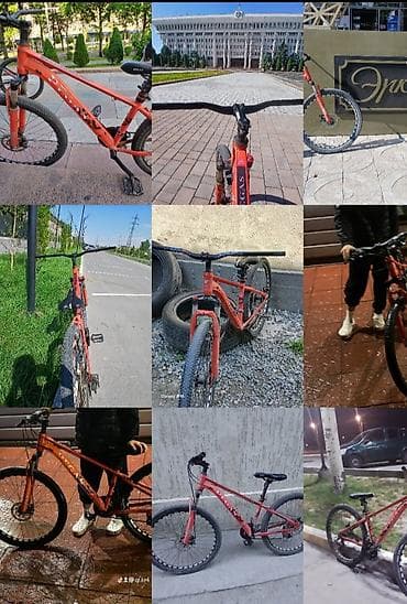 BMX велосипеды: Хардтейл BMX/дёрт-стайл на 26" - Рама: алюминиевая Pegas, жесткая — 5