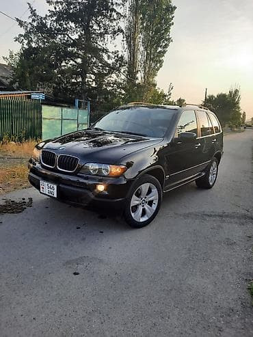 Скупка авто: BMW X5: 2004 г., 3 л, Автомат, Бензин, Внедорожник — 6