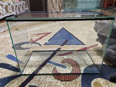 аквариумная рыбка: Аквариум 50 литров с крышкой. 
Новый — 3