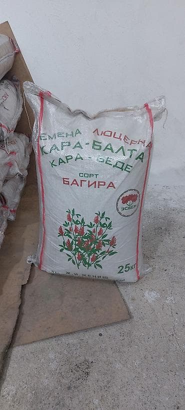 саженцы яблоня: Семена люцерны сорта Багира, упакованные в мешок весом 25 кг. Этот — 6