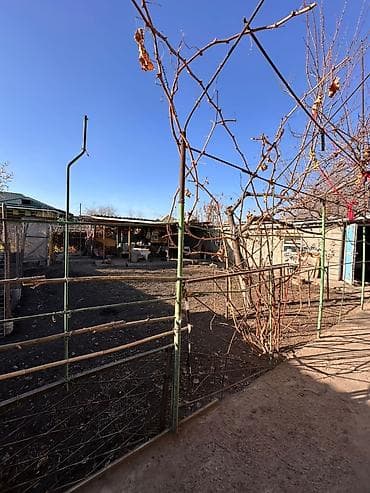 колмо: Дом, 10000 м², 15 комнат, Собственник, Дизайнерский ремонт — 8