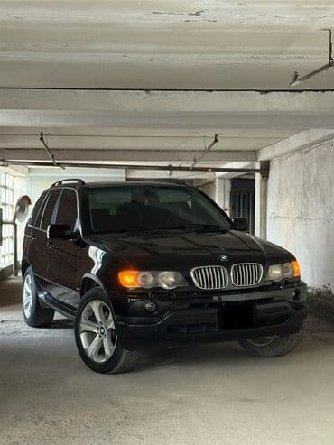 mersedes e55: BMW X5: 2002 г., 4.4 л, Автомат, Бензин, Внедорожник — 4
