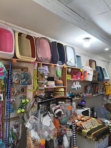 Зоотовары: Зоотовары для собак и кошек — большой выбор в одном месте Оформляем — 4