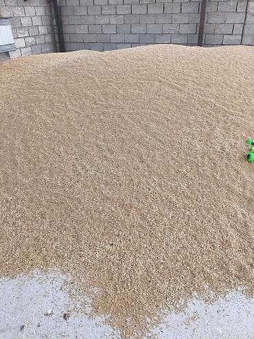 дорожки для коридора бишкек: Пшеница продовольственная/кормовая, урожай текущего сезона. - — 1