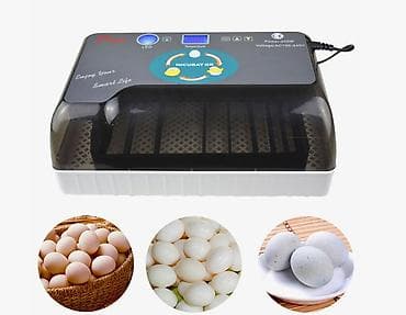 апарат инкубатор: Инкубатор HHD 12 мини с овоскопом и автоматическим переворотом для яиц — 2