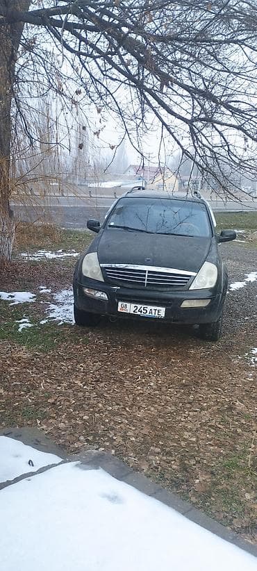 mersedes w211: Ssangyong Rexton: 2003 г., 2.9 л, Автомат, Дизель, Внедорожник — 1