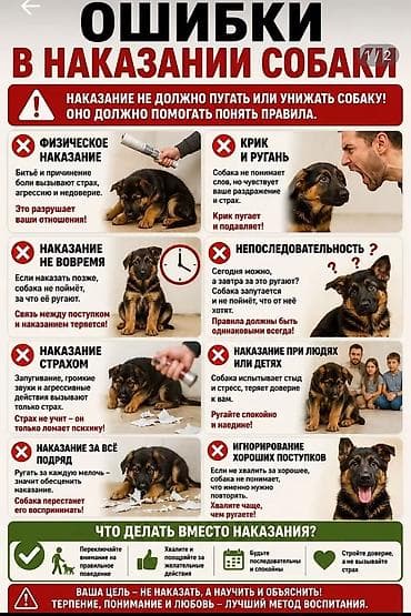 Иттер: Профессиональный кинолог оказывает услуги по дрессировки. Стаж работы — 8