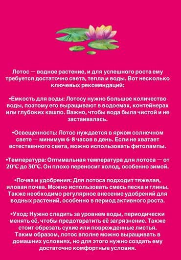 я твое средство для всего цена бишкек: Лотос
350с пачкада 45-50 урук болот
Бишкек — 2