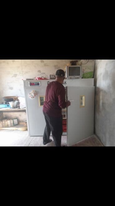 птинитка буу: Продаю заводской автоматический инкубатор для 72 страусиных яиц,можно — 4