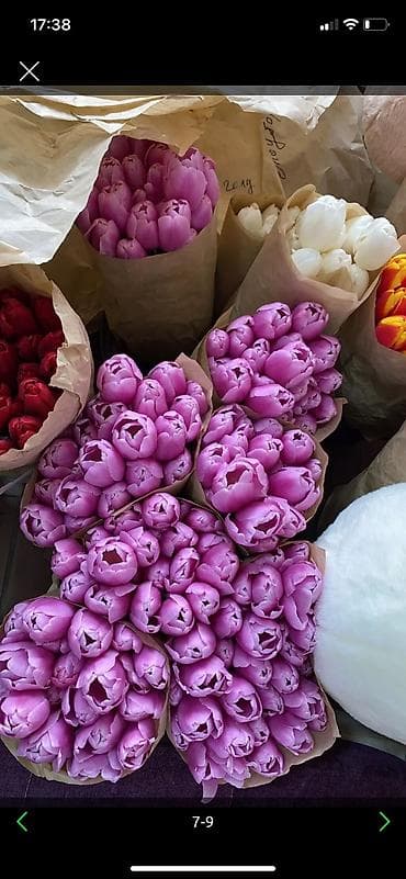 доставка цветов: Организация мероприятий | Гелевые шары, Букеты, флористика, Ведущий, тамада — 8