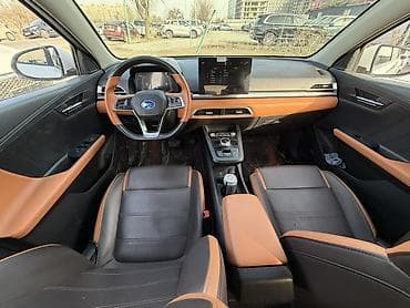 аудио системы: BYD E2: 2021 г., Электромобиль, Кроссовер — 4