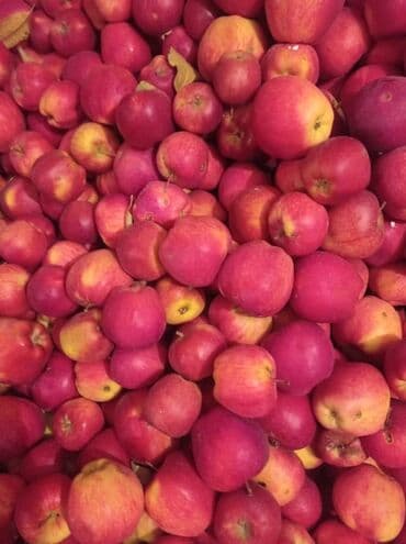 шкаф с мойкой: Яблоки — 3