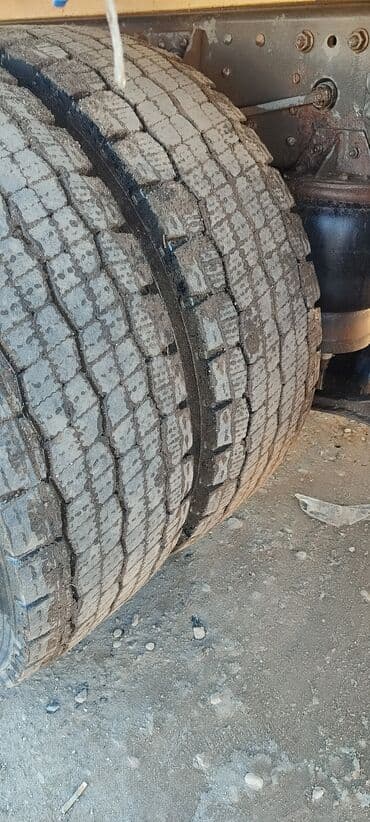 садовый измелчитель: Грузовик, DAF — 6