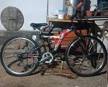 Спорт и хобби: Горный велосипед, Сталь — 1