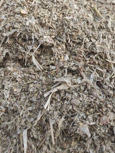 наполнитель для животных: Силос хорошего качества 8.5 сом оптом в бабинах село Александровка — 4