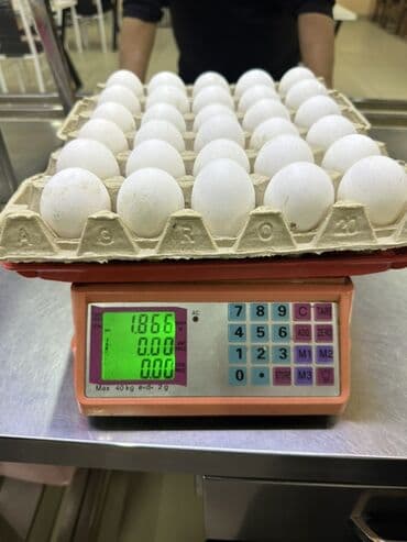 куриная грудка: Куриные яйца, белые. - Фасовка: лотки по 30 шт. на картонных — 3
