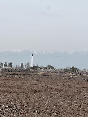 8: 8 соток, Для строительства, Красная книга — 8