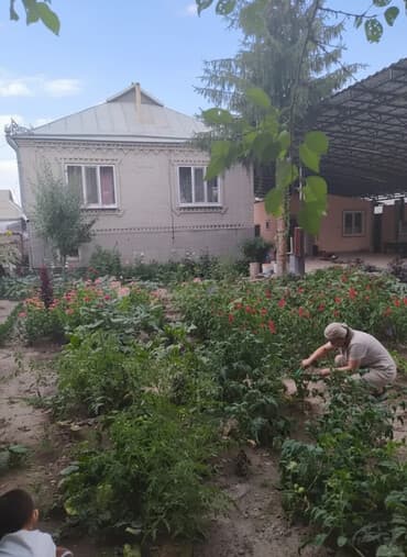 Дом, 6 м², 5 комнат, Собственник