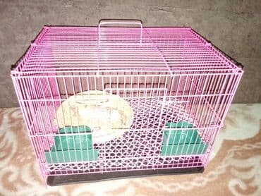 переноски для кошек бишкек: Клетка для хомяка или свинки. Новая. Также в наличии хомяки: сирийцы — 1