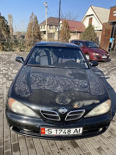 honda fit 1: Nissan Primera: 2000 г., Механика, Бензин, Седан — 8