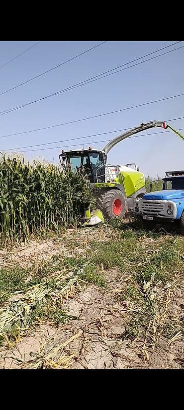 Промышленная химия: Кукуруза — 4