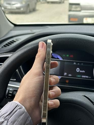 IPhone 12 Pro Max, 256 ГБ, Золотой