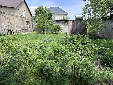 интернациональное: Продается участок с жилым домом. Все правоустанавливающие документы — 3