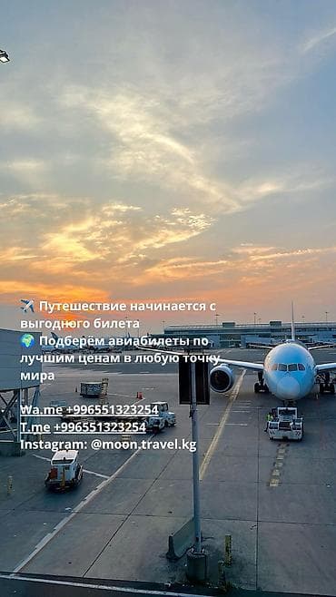 набор выживания: 🌍 Планируете путешествие, отдых, учёбу или командировку? Мы поможем — 1