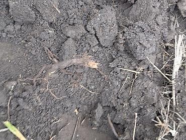 Сейфы: В тоннах, Бесплатная доставка, Зил — 5