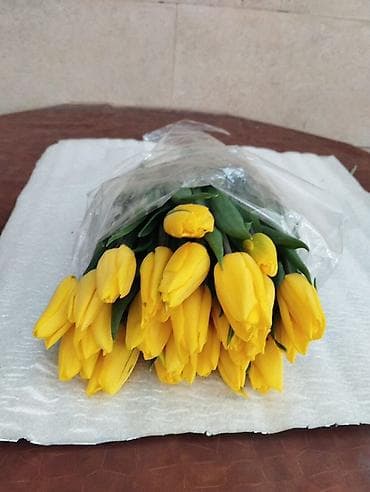 продаю ёлки: Майрамга гулдорду заказ кылсаныздар болот ! — 5