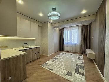 шагыл сокулук: 2 комнаты, 46 м², Элитка, 10 этаж, Евроремонт — 6