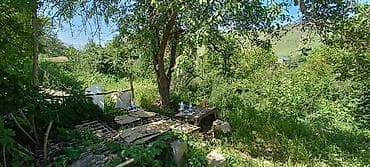 🏡 Продается участок в селе Беш-Кунгей! 🌿 📍 Участок: 6.3 сотки 📏