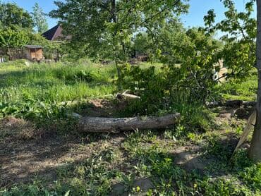 пасудомойка работа: Требуется работник для работы в саду ( выкопать растения, убрать — 1