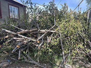 купить дрова: Дрова — 1