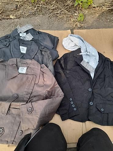 котёнок даром: Актуально.Обмен на мед,на порошок ушастый нянь 4 кг.Куртки в — 2