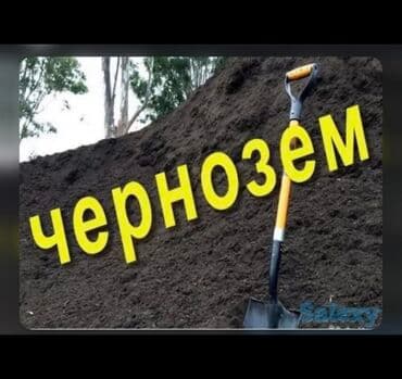 биндеры 8 листов для дома: В тоннах, Бесплатная доставка, Зил — 1