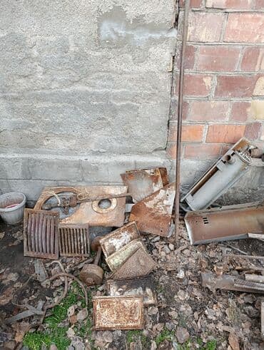 купить саженцы павловнии в бишкеке: 1 килограмм 45 сом. цена зависит от веса товара. 45 сом * вес товара= — 2