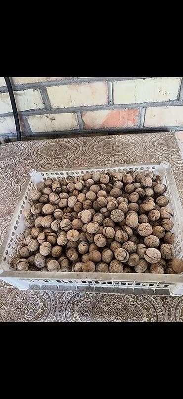 фрукти: Орехи — 2